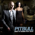 Buy Shut it Down (CDS)