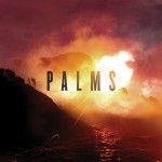 Buy Palms