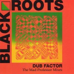 Buy Dub Factor - The Mad Professor Mixes