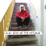 Buy Eye Of The Needle (CDS)