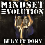 Buy Burn It Down (CDS)