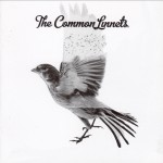 Buy The Common Linnets