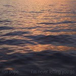 Buy I'm Never Letting You Go (CDS)