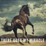Buy There Goes My Miracle (CDS)