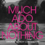 Buy Much Ado About Nothing