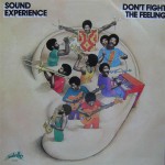 Buy Don't Fight The Feeling (Vinyl)