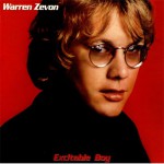 Buy Excitable Boy (Vinyl)