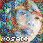 Buy The Mosaic Project