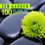 Buy Zen Garden 100 Relaxing Spa Music Gems For Wellness Massage Relaxation And Serenity CD3