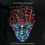 Buy Cosmology