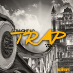 Buy Straight Up Trap! Vol. 5