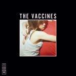 Buy What Did You Expect From The Vaccines?