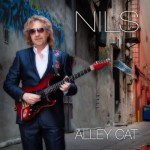 Buy Alley Cat