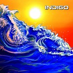 Buy Indigo