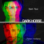 Buy Dark Horse (CDS)
