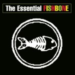 Buy The Essential Fishbone