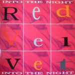 Buy Into The Night (CDS)