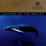 Buy Journey Of The Whales