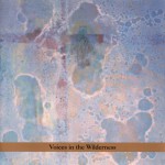 Buy Masada Anniversary Edition Vol. 2: Voices In The Wilderness CD2