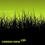 Buy Green Side Up