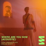 Buy Where Are You Now (Acoustic) (With Calum Scott) (CDS)