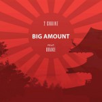 Buy Big Amount (Feat. Drake) (CDS)