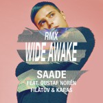 Buy Wide Awake (Feat. Gustaf Norén) (Filatov & Karas Remix) (CDR)