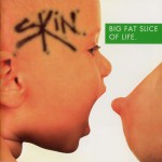Buy Big Fat Slice Of Life