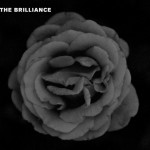Buy The Brilliance