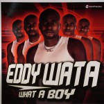 Buy What A Boy (CDS)