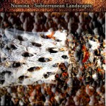 Buy Subterranean Landscapes