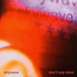 Buy Don't Say Slow