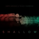 Buy Shallow (CDS)