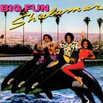 Buy Big Fun (Vinyl)