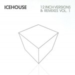 Buy 12 Inch Versions And Remixes Vol. 1 CD1