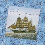 Buy What You Wanted (CDS)