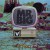 Purchase Channel V At The Hard Rock Live Mp3