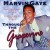 Purchase 1993  -  Marvin Gaye In Concert (Live) 1993 Mp3