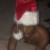 Purchase A Ghetto Christmas Carol (EP) Mp3