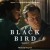 Buy Black Bird