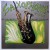 Purchase Saxophone Ballads Mp3