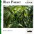 Buy Rain Forest