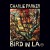 Buy Bird In LA CD1