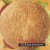Purchase Hot & Spicy Beanburger Mp3