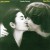 Buy Double Fantasy Stripped Down CD1