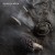 Purchase Fabriclive.90 Mp3