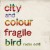 Buy Fragile Bird (Radio Edit) (CDS)