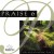 Purchase Praise 6: You Are My Hiding Place Mp3