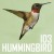 Purchase Hummingbird (EP) Mp3