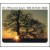 Purchase The Sunset Tree Mp3